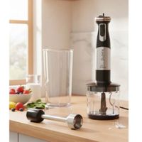 BATIDORA INMERSIÓN LOVEN MP800-CLA 800W 1L MULTIFUNCIÓN ACERO