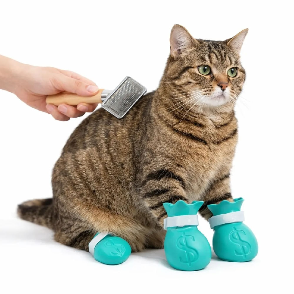 Zapatos de silicona para gatos anti arañazos turquesa