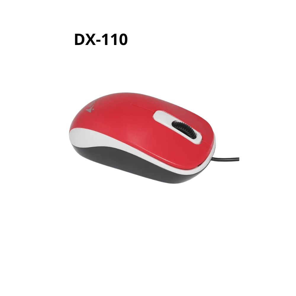 Mouse Genius DX-110 1000 DPI Negro