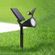imageUrl_6