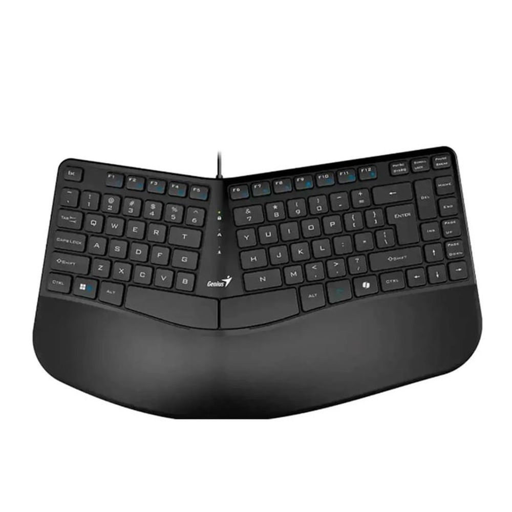 Teclado Genius ERGO KB-700 USB Negro Ergonómico