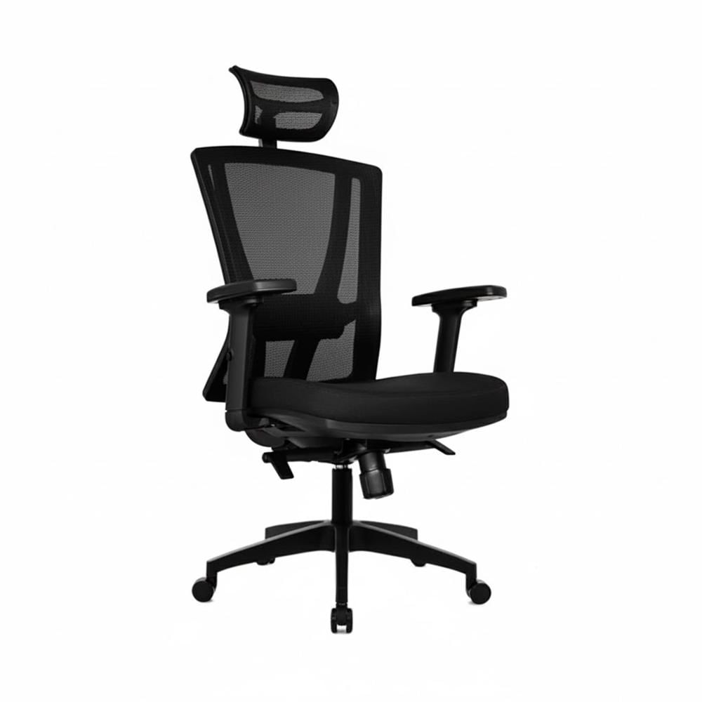 Silla Ergonómica Winner Presidente Brazos 3D Nylon Negro PN Ofideas