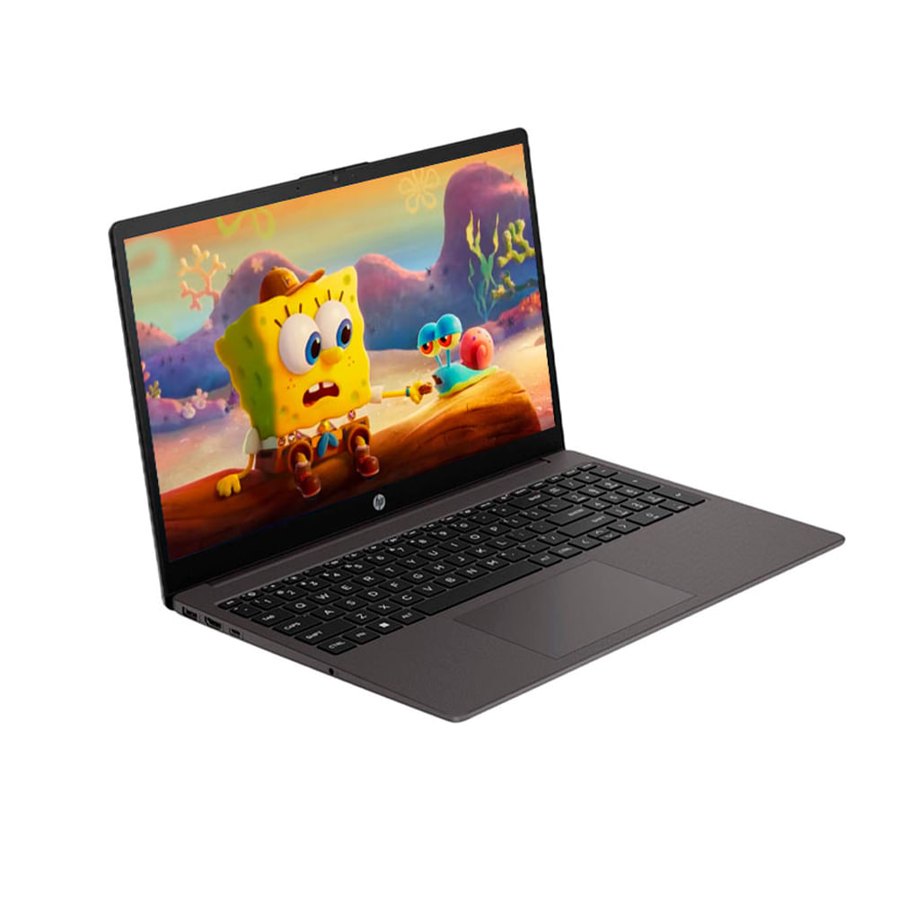 Laptop HP 255 G10 Ryzen 3-7320U 8GB SSD 256GB 15.6""
