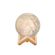 imageUrl_3
