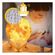 imageUrl_1