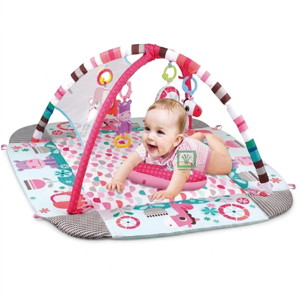 Gimnasio Musical 5 en 1 con pelotas Niña CM-8081