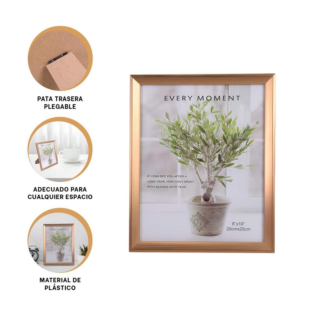 Exhibidor para Fotografias que Permite Organizar Recuerdos en Casa con Estilo Y+Ligas Regalo