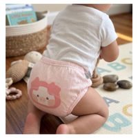 Interior Control Esfinteres 24-36 Meses Niñas Set 3 Unidades