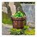 imageUrl_3