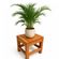 imageUrl_1