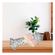 imageUrl_2
