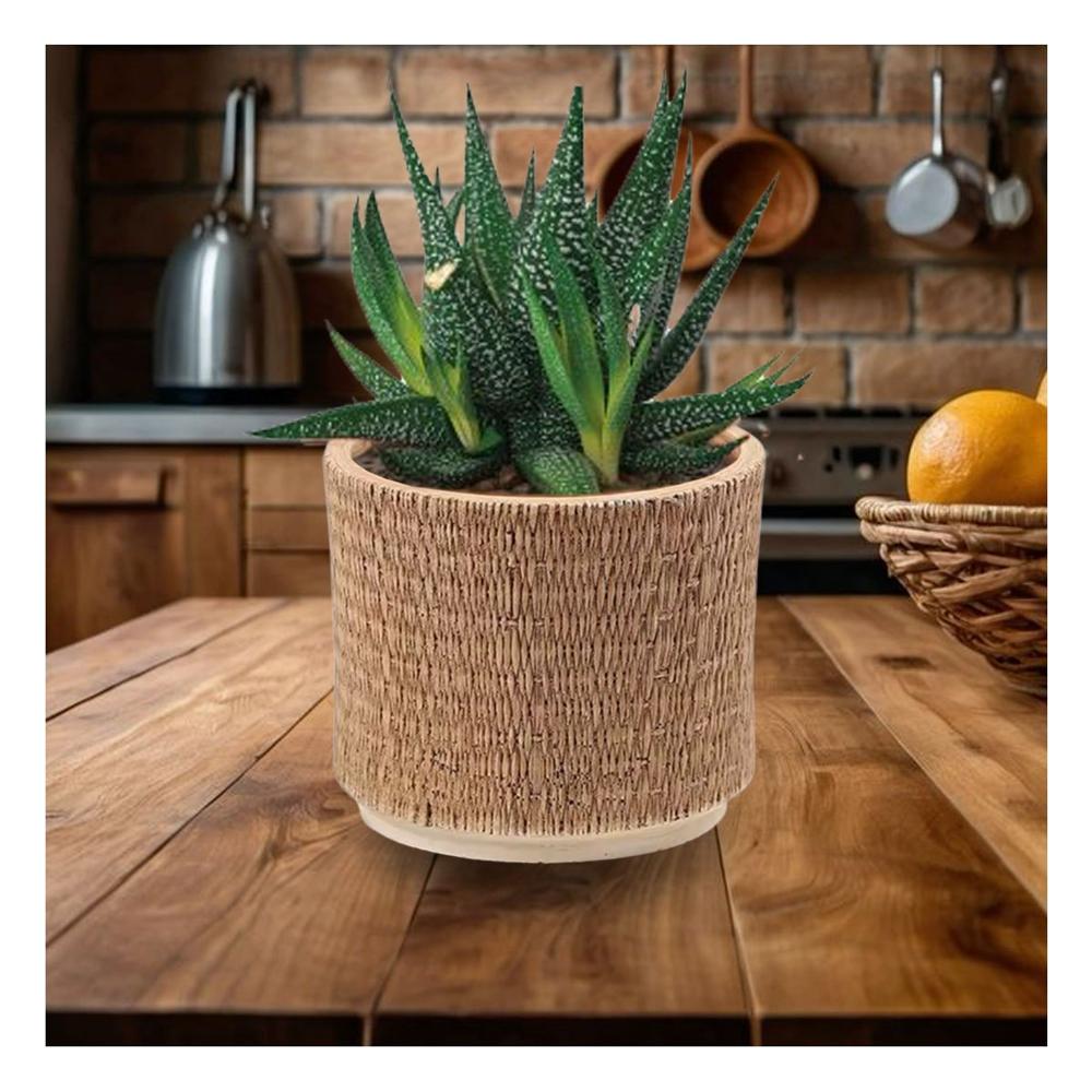 Maceta Moderna Cemento 13x13cm Mostaza Tejido Rafia Para Decorar Casa Y+Papel Regalo