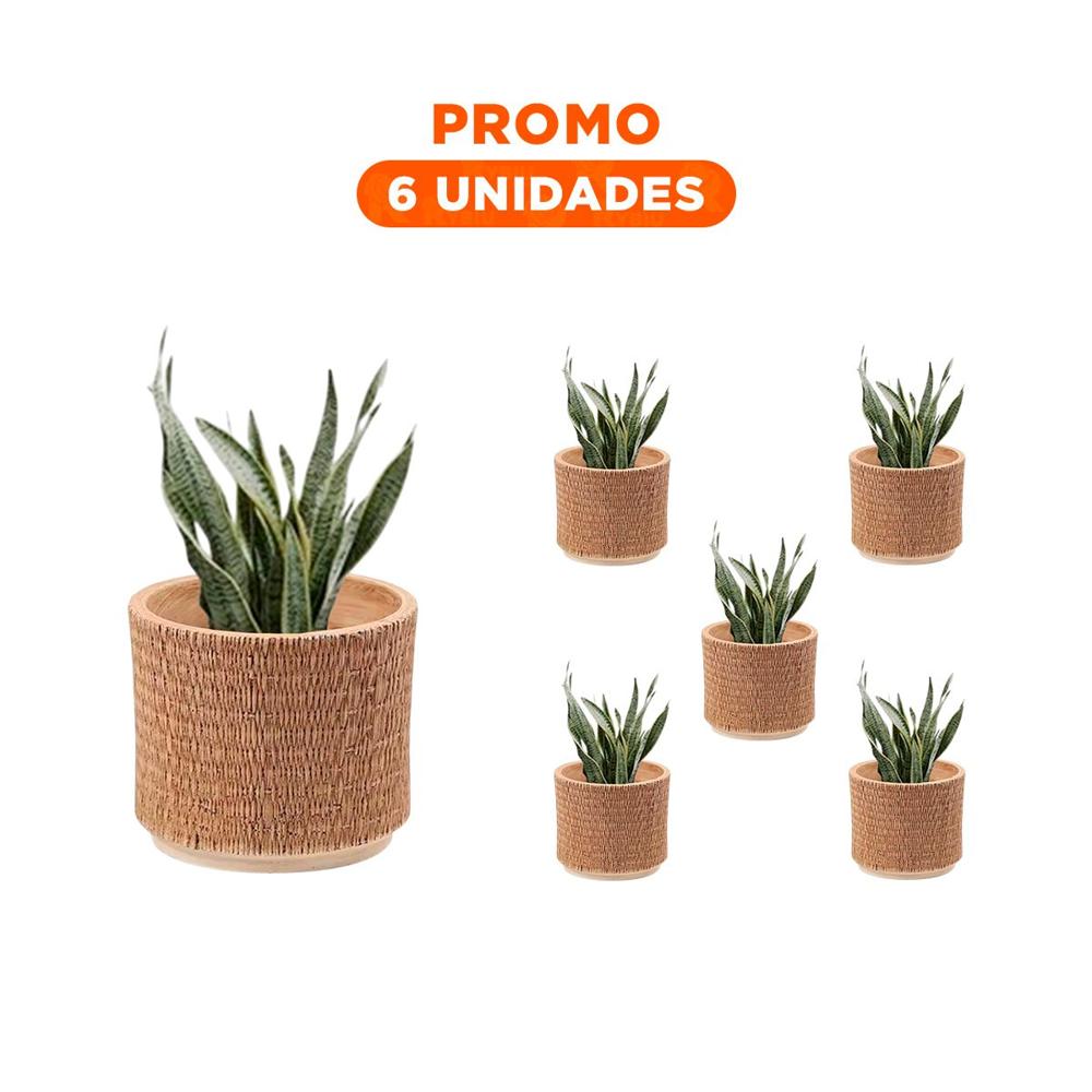 Pack6 Maceta Interior Cemento 13x13cm Mostaza Tejido Rafia Para Sala