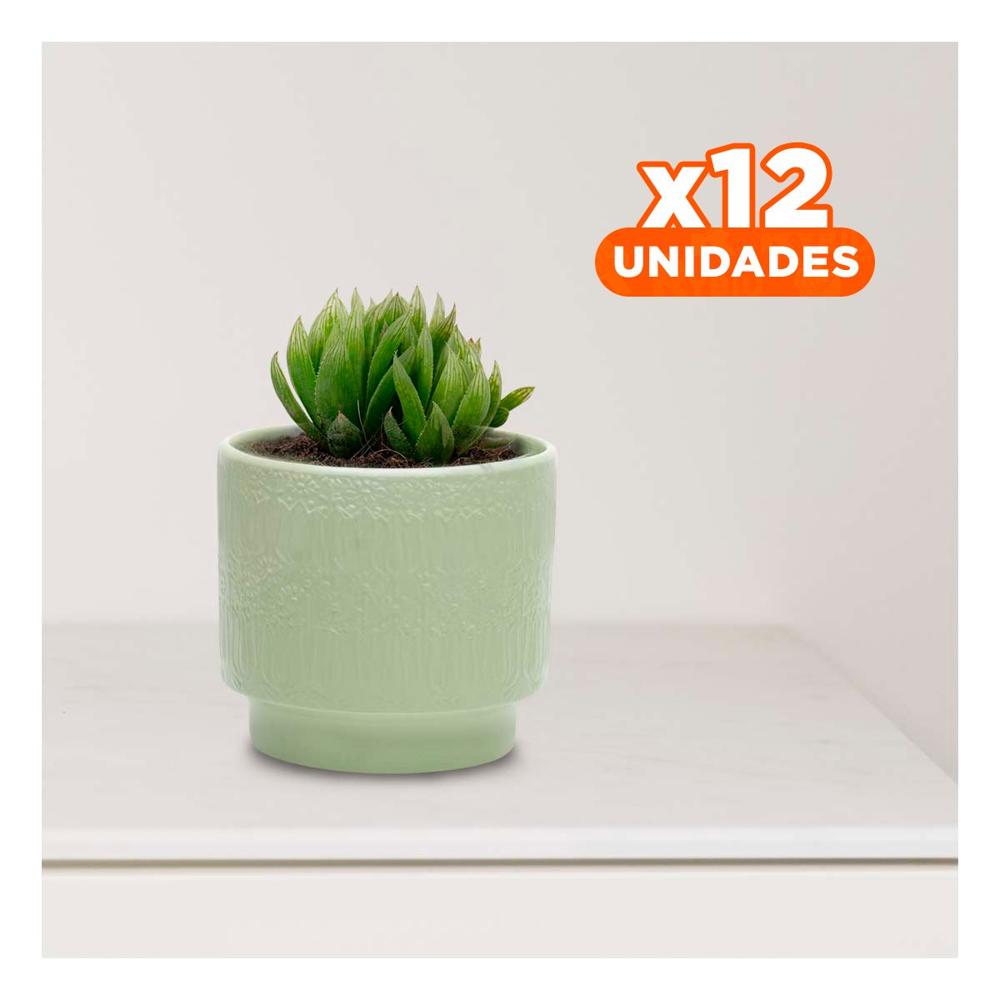 Pack12 Contenedor Cilindro Ceramica Verde Claro Tulipanes Flores Interior Y+Regalo Sticker