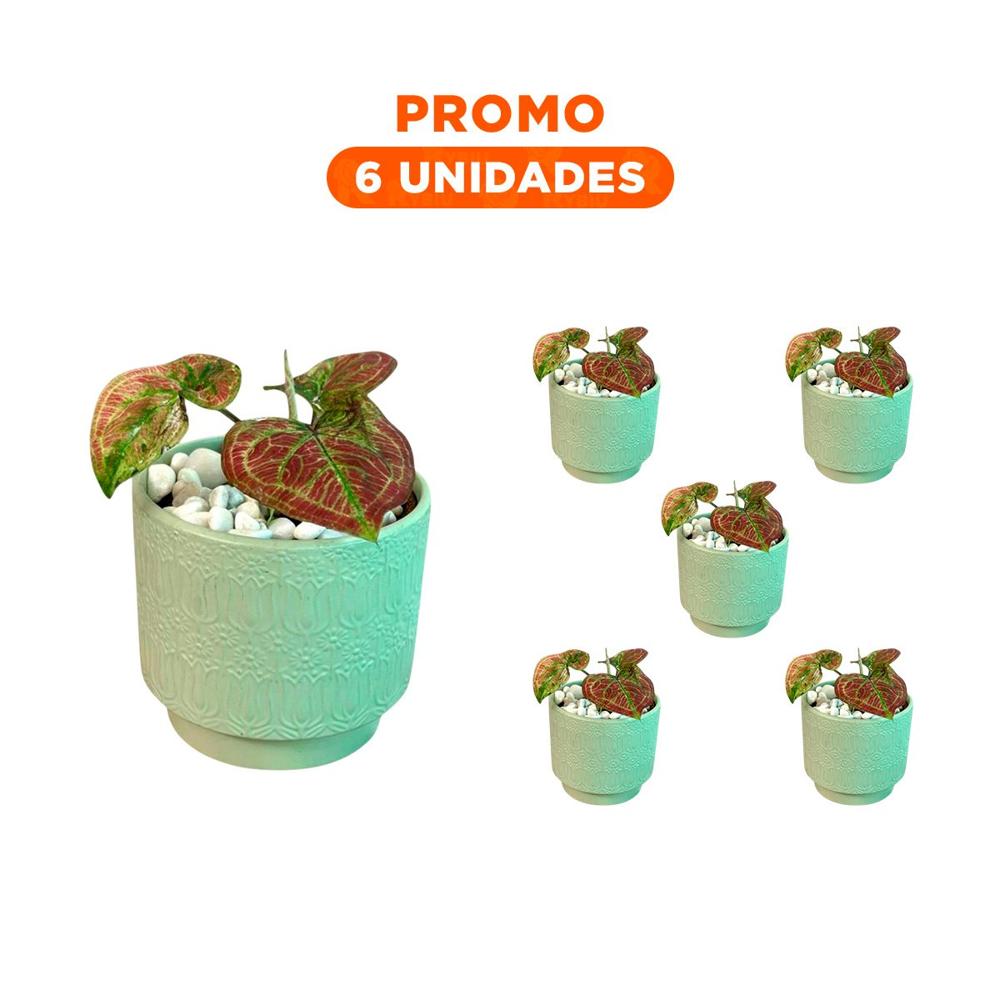 Pack6 Contenedor Cilindro Ceramica 13x13cm Verde Claro Tulipanes Flores Hogar Decorativa