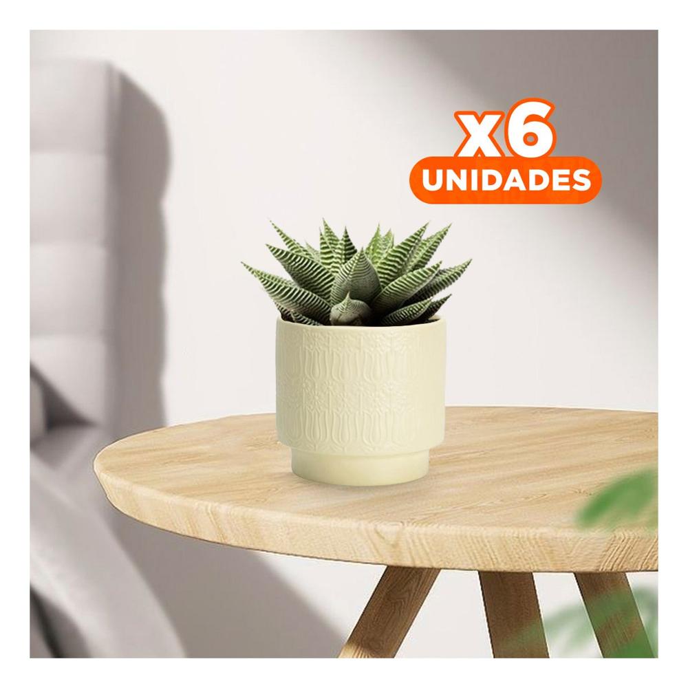 Pack6 Jardinera Cilindro Ceramica 13x13cm Crema Para Tulipanes Flores Y+Regalo Sticker
