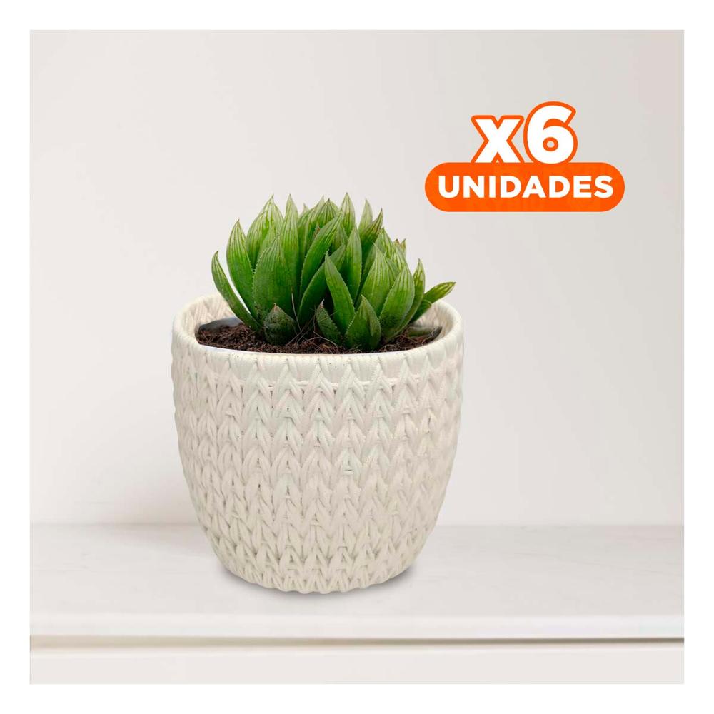 Pack6 Macetero Redondo Curvo Cemento 12x12cm Blanco Tejido V Hogar Festivo Y+Papel Regalo