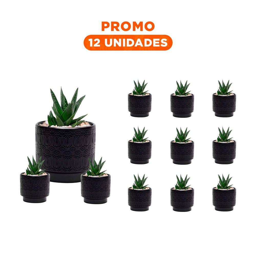 Pack12 Recipiente Elegante De Ceramica 13x13cm Negro Para Tulipanes Flores Y+Regalo Sticker