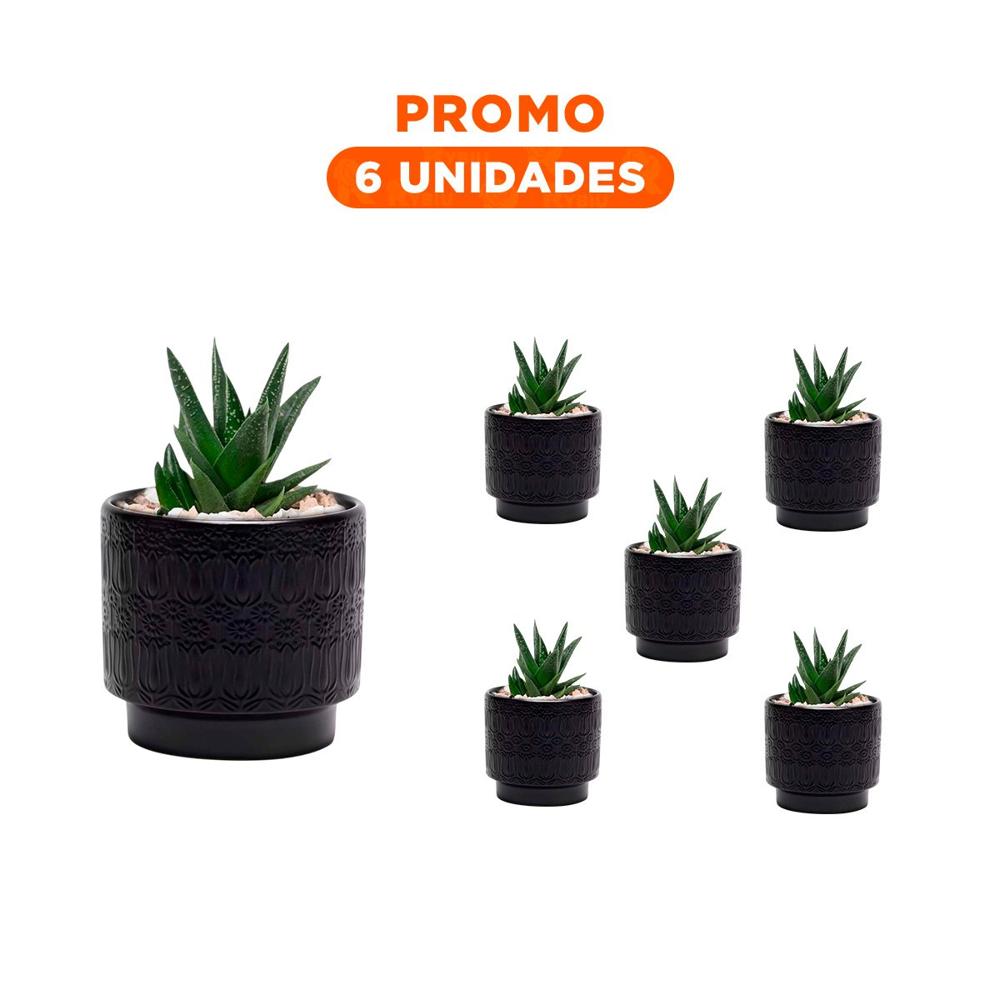 Pack6 Recipiente Negro De Ceramica 13x13cm Para Tulipanes Flores En Interior