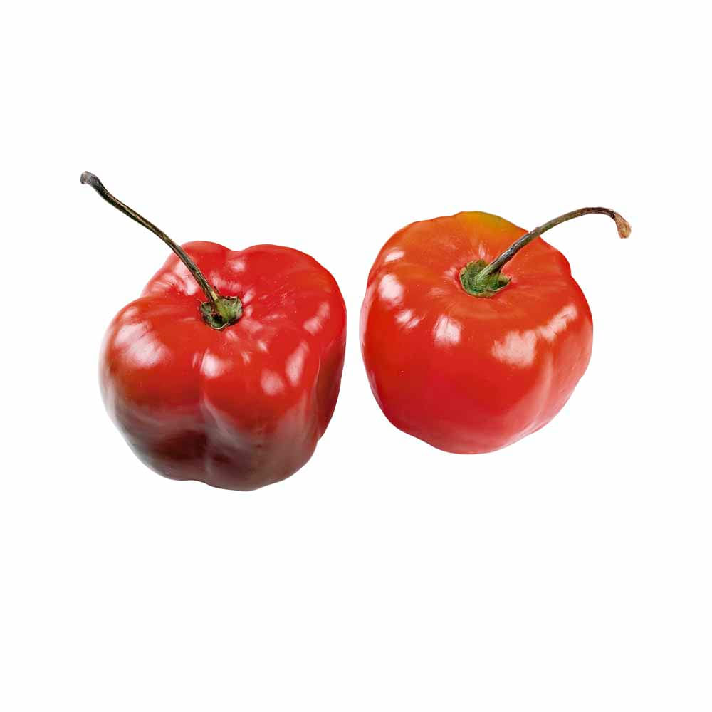 Rocoto x und.