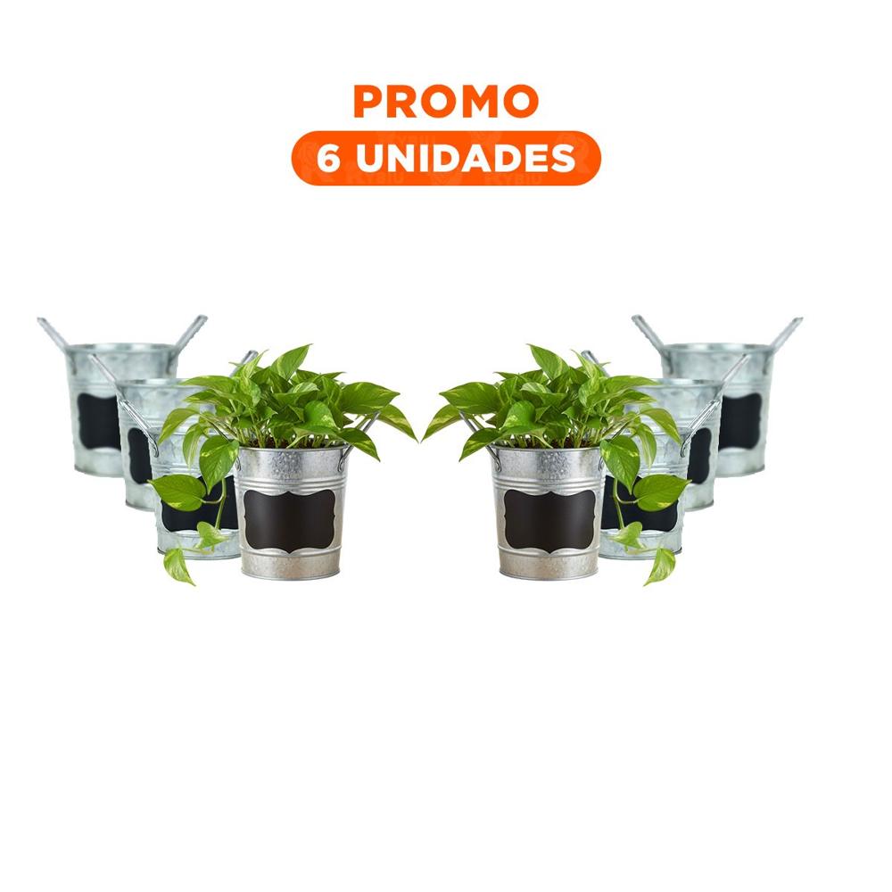 Pack6 Soporte para Planta Cubo Metal Doble Asa 10x8.5cm Plateado Uso Decorativo