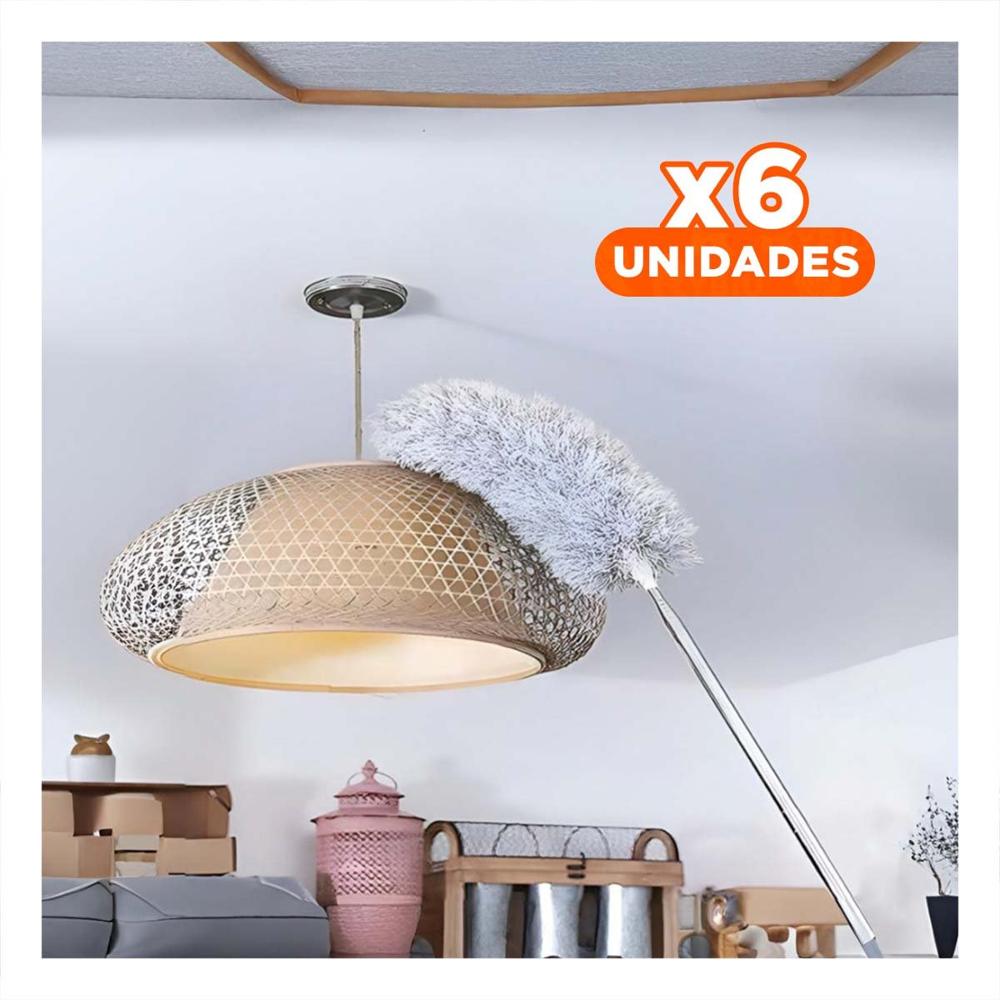 Pack6 Atrapapolvo Expandible con Diseno Ergonomico Plomo Pro Y+Papel Regalo