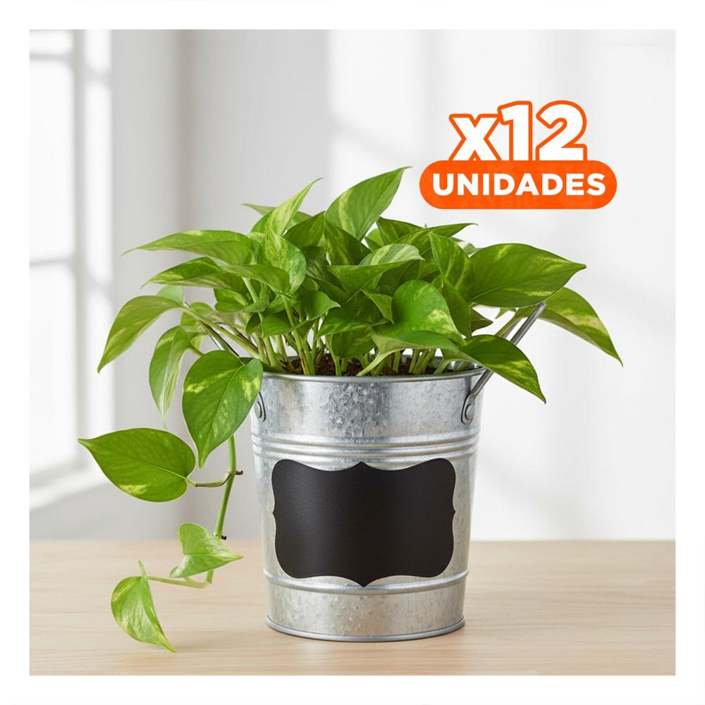 Pack12 Recipiente Cubo de Metal con Doble Asa 10x8.5cm Plateado Diseño Firme