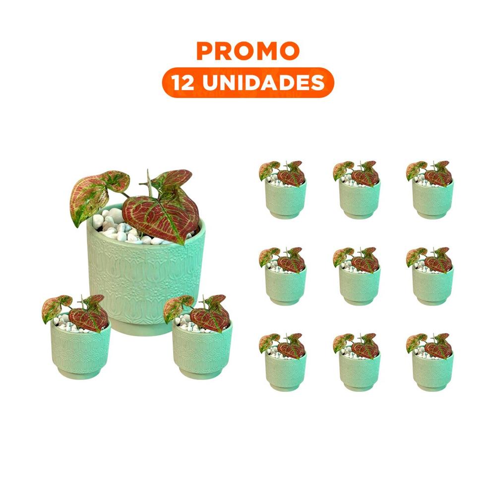Pack12 Jardinera Cilindro Ceramica Verde Claro Tulipanes Flores Decoracion Interior