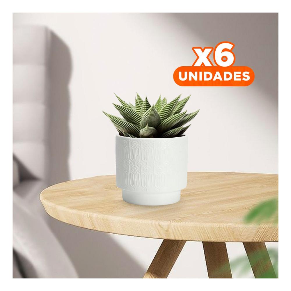 Pack6 Maceta Blanca Cilindro Para Tulipanes Flores 13x13cm Decoracion Hogar Y+Regalo Sticker