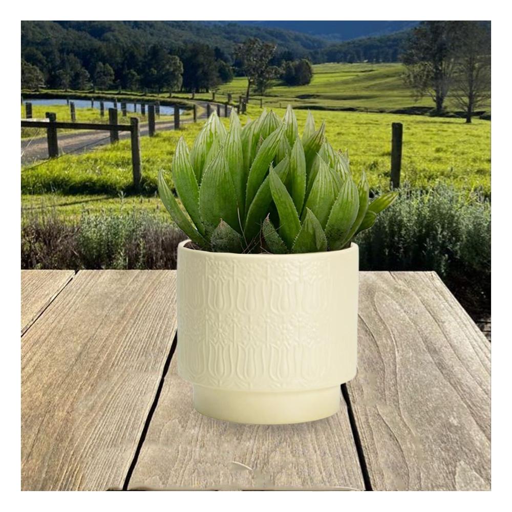 Vasija Cilindro Ceramica 13x13cm Crema Para Tulipanes Flores Festivo Y+Post It