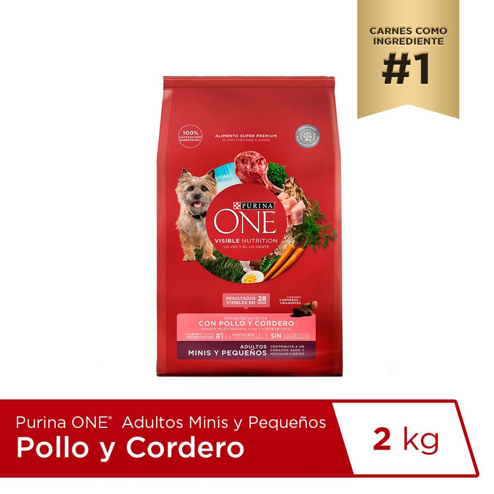 Alimento para Perro ONE Adulto Minis y Pequeños Sabor Pollo y Cordero Bolsa 2Kg