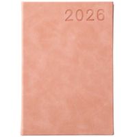 Planner 2025 CLASS&WORK Rosa