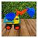 imageUrl_3