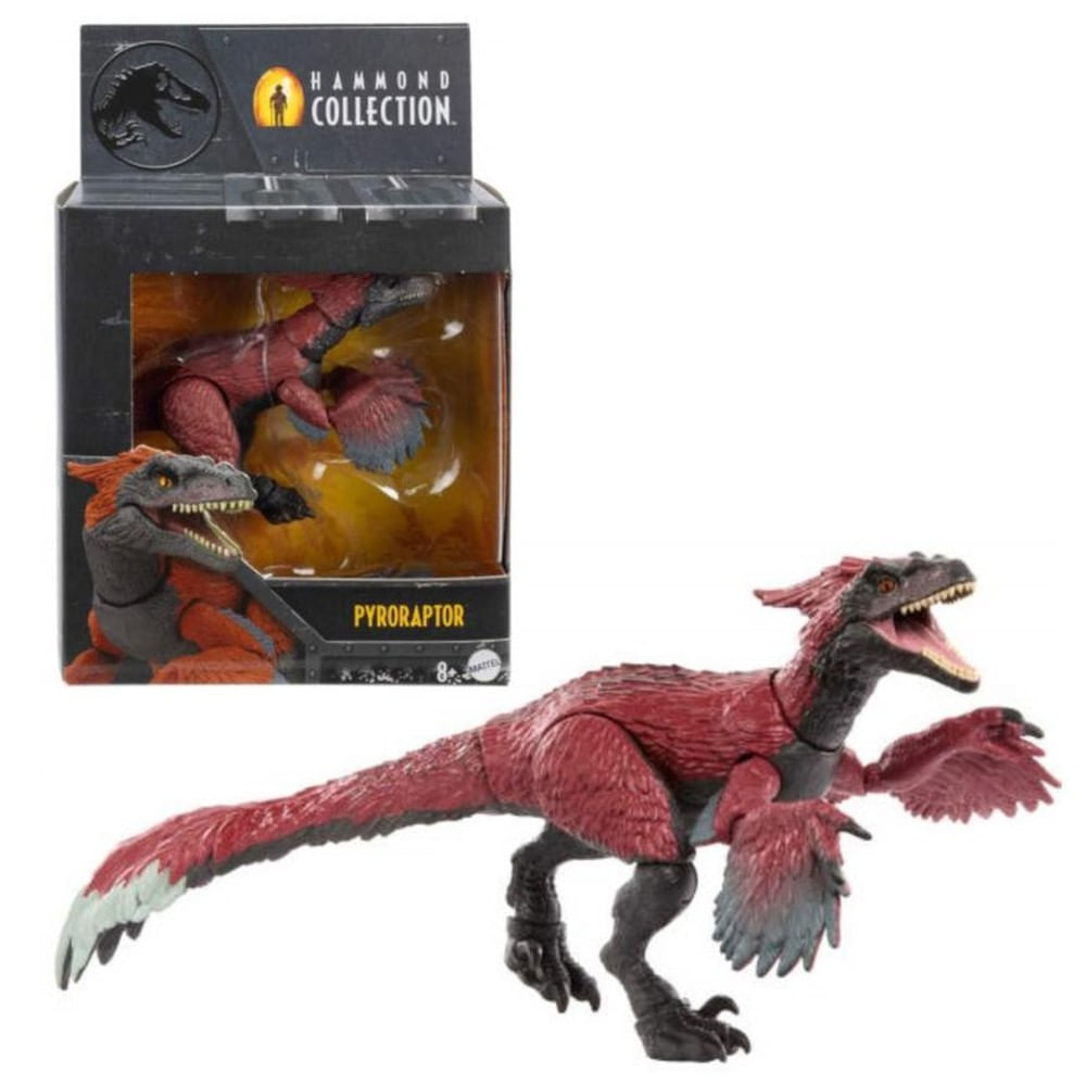 PYRORAPTOR HAMMOND COLLECTION