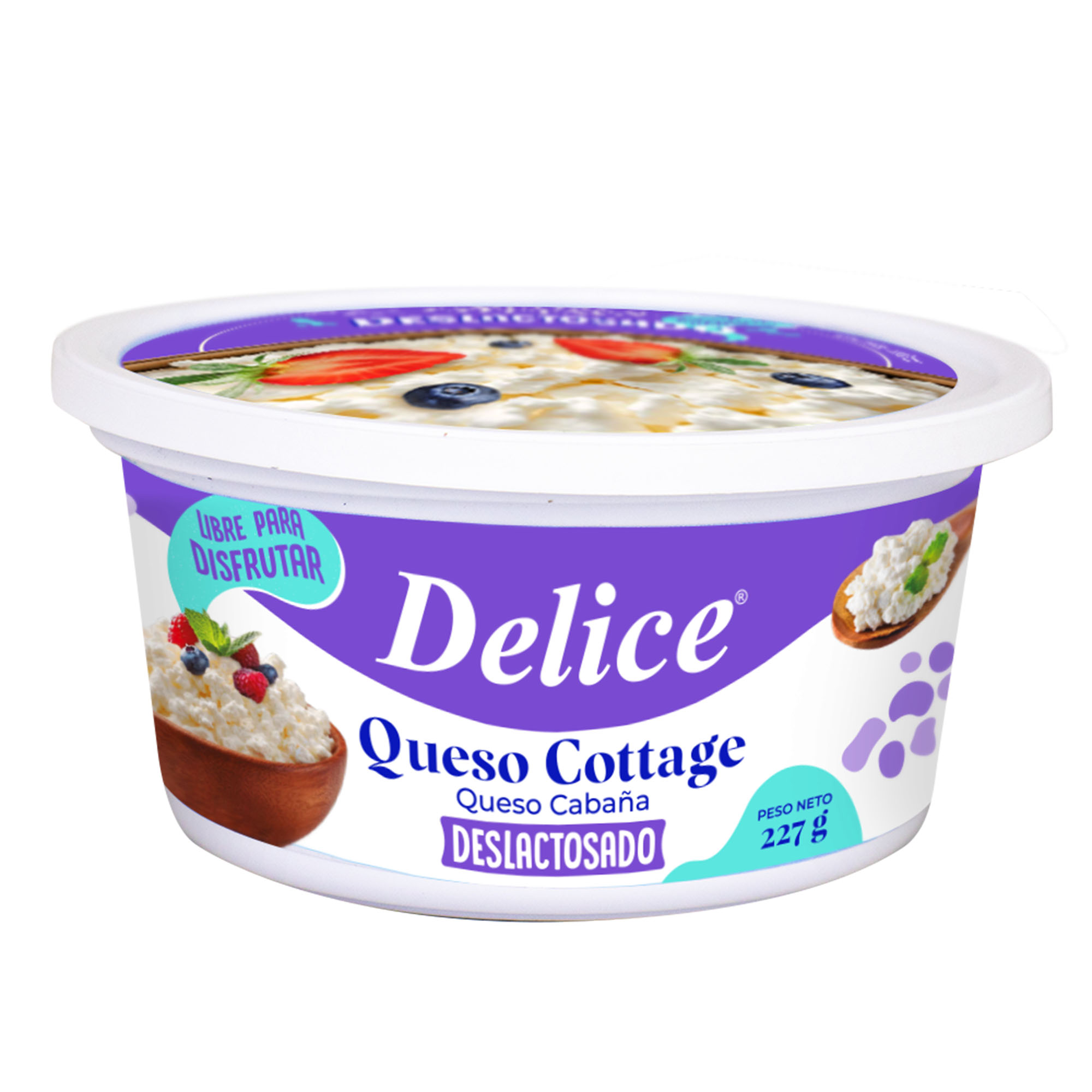 Queso Cottage sin Lactosa DELICE Pote 227g