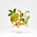 imageUrl_5