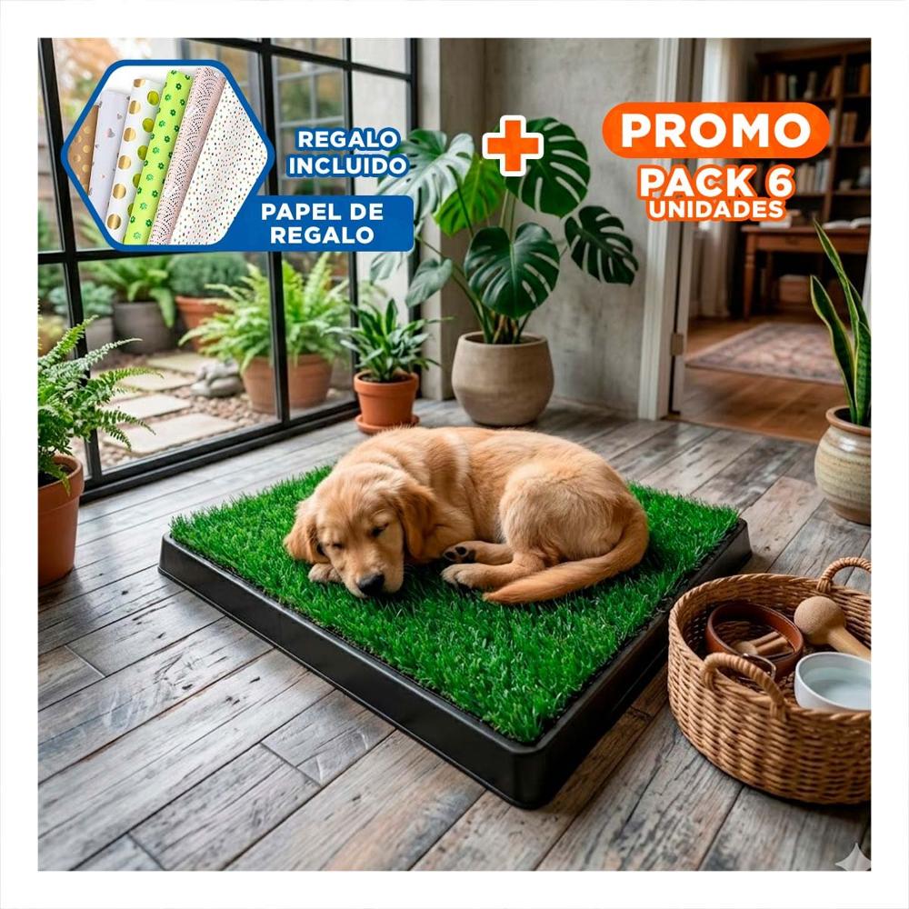 Pack6 Sistema Practico para Perros Grande Negro Resistente para Interior Y+Papel Regalo
