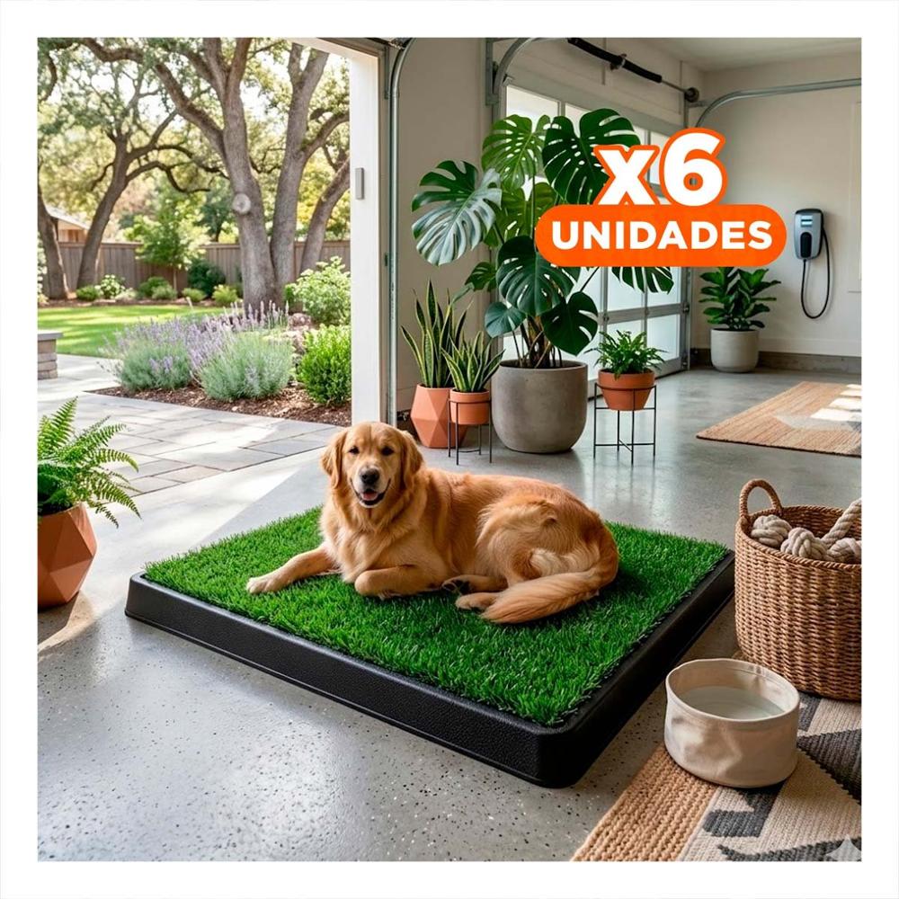 Pack6 Contenedor Practico para Perros Grande Negro Comodo para Hogar Y+Regalo Sticker