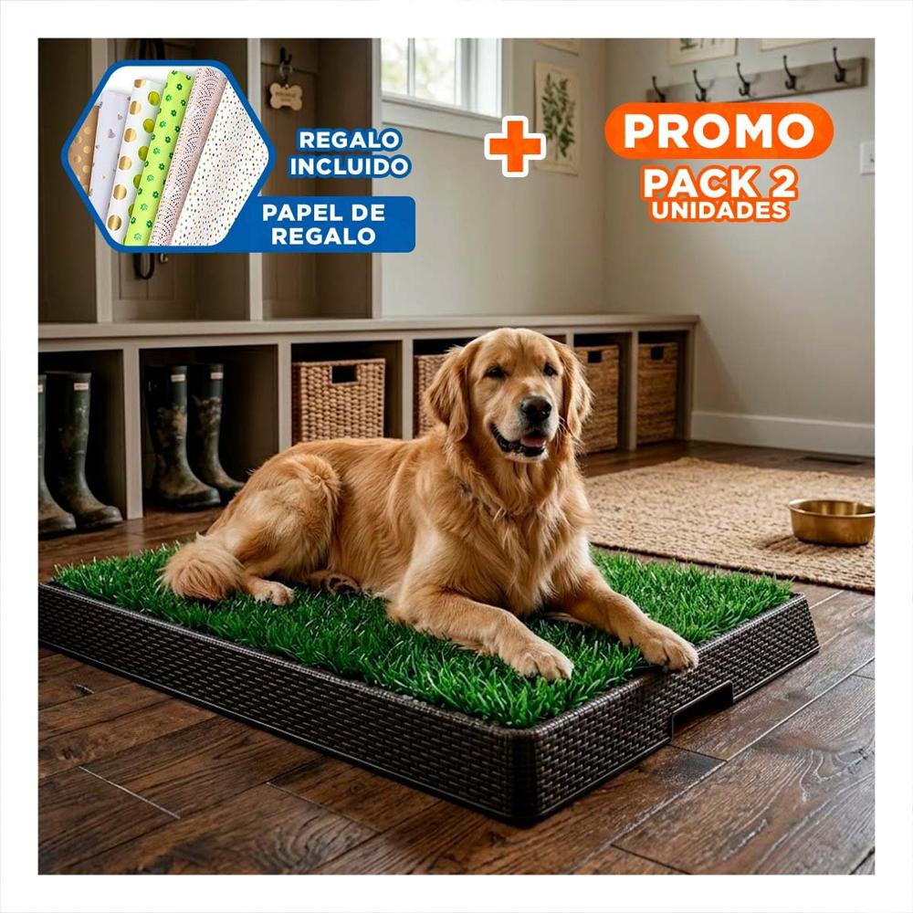 Pack2 Concepto Sanitario para Perros Grande Negro Resistente para Interior Y+Papel Regalo