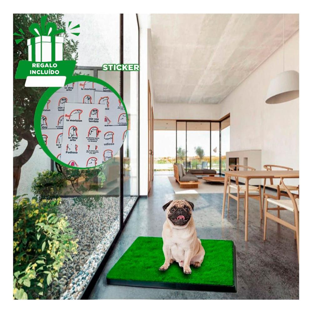 Sistema Higienico para Perros Mediano Negro Nacional para Interior Y+Regalo Sticker