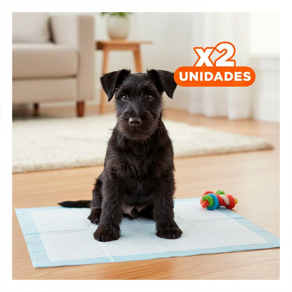 Pack2 Propuesta de Piso 45x60 Talla M para Mascotas Interior del Hogar Diario Y+Regalo Sticker