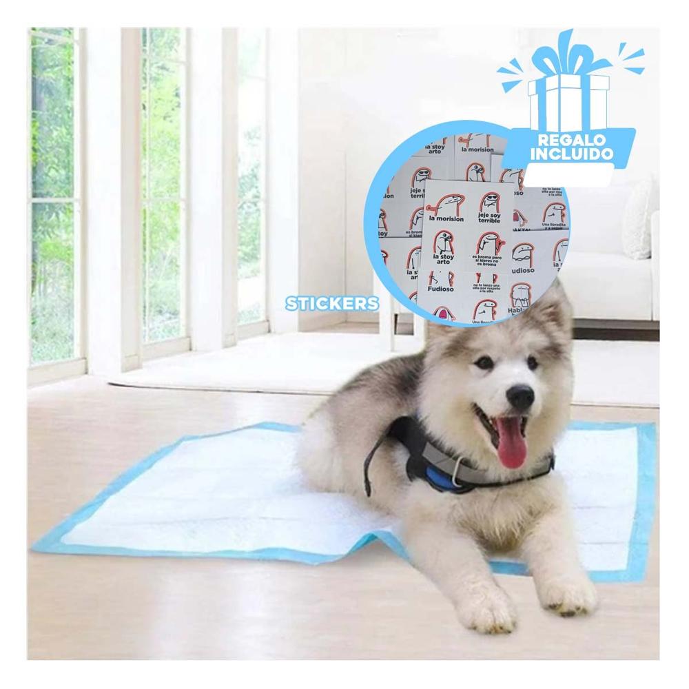 Cobertor de Piso 45x60 Talla M para Perros Uso Practico en Espacios Cerrados Y+Regalo Sticker