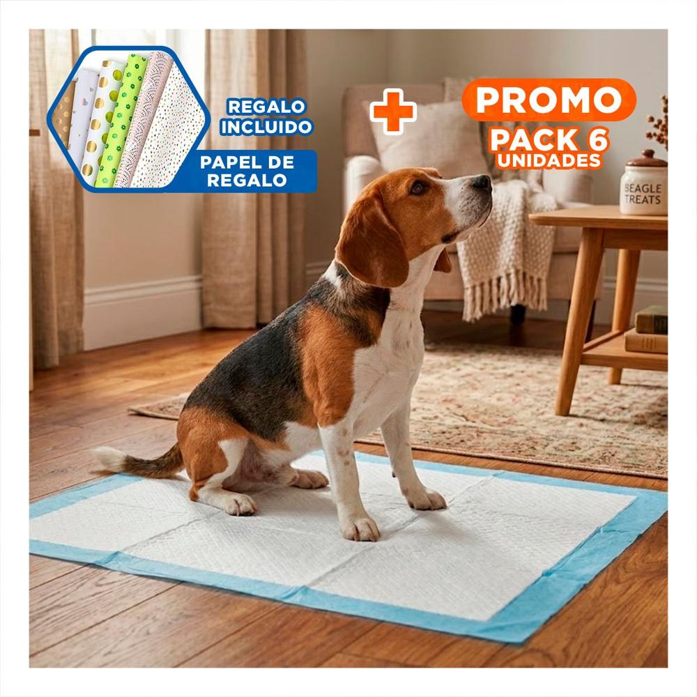 Pack6 Absorbente para Mascotas 60x60 Talla L Celeste Uso en Piso Interior Y+Papel Regalo