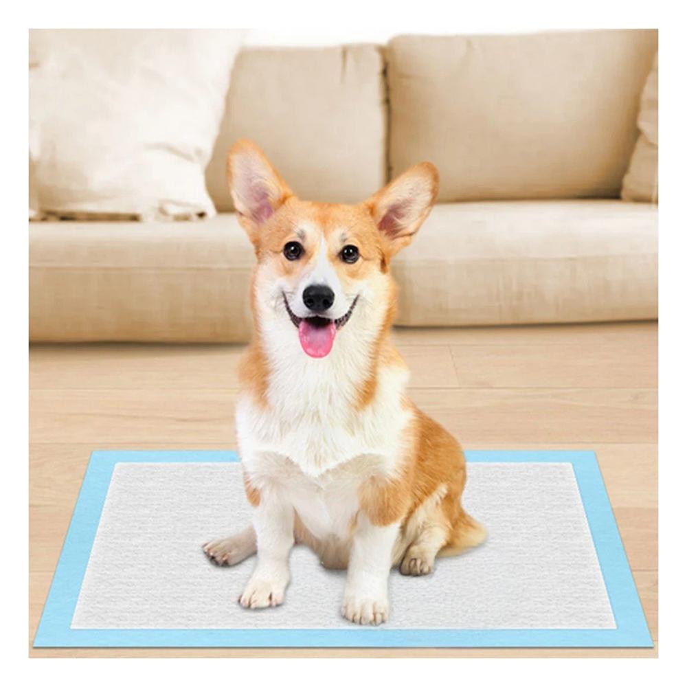 Manta Absorbente de Piso 45x60 Talla M para Mascotas en Casa y Departamento Y+Ligas Regalo