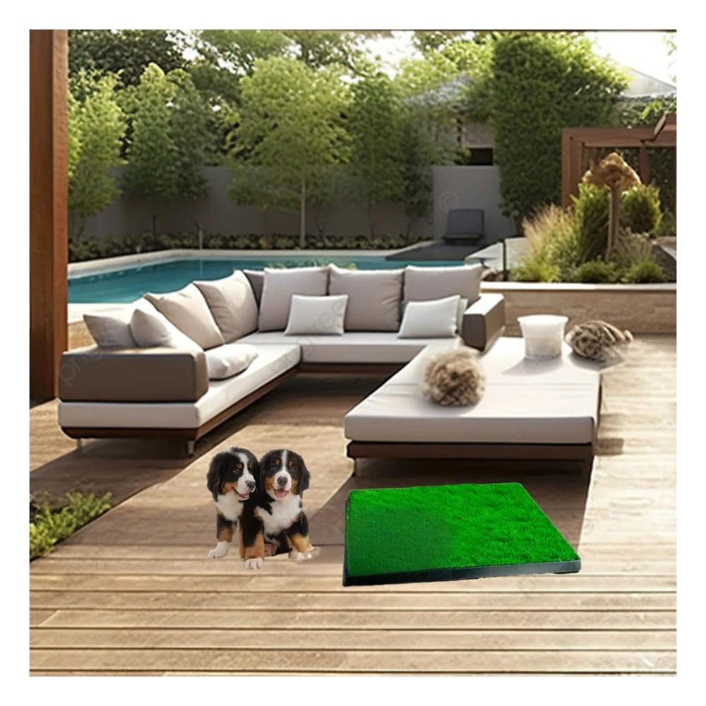 Contenedor Sanitario para Perros Mediano Negro Nacional para Hogar Y+Ligas Regalo