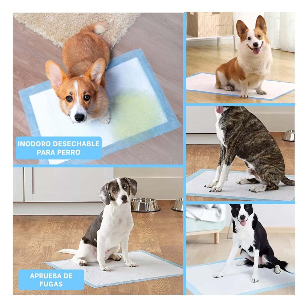 Accesorio de Piso 60x60 Talla L Celeste para Perros en Interior del Hogar Y+Post It