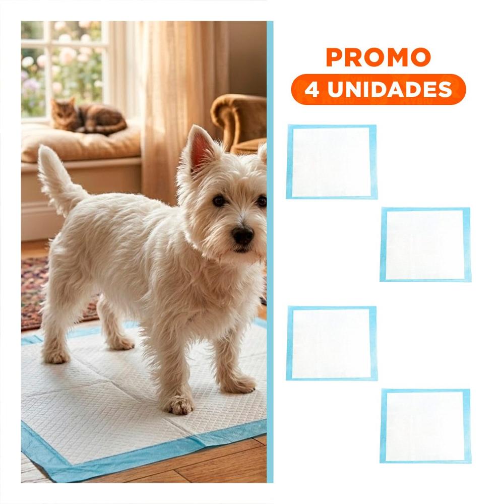 Pack4 Equipo de Piso 45x60 Talla M para Perros Interior del Hogar Practico Y+Regalo Sticker