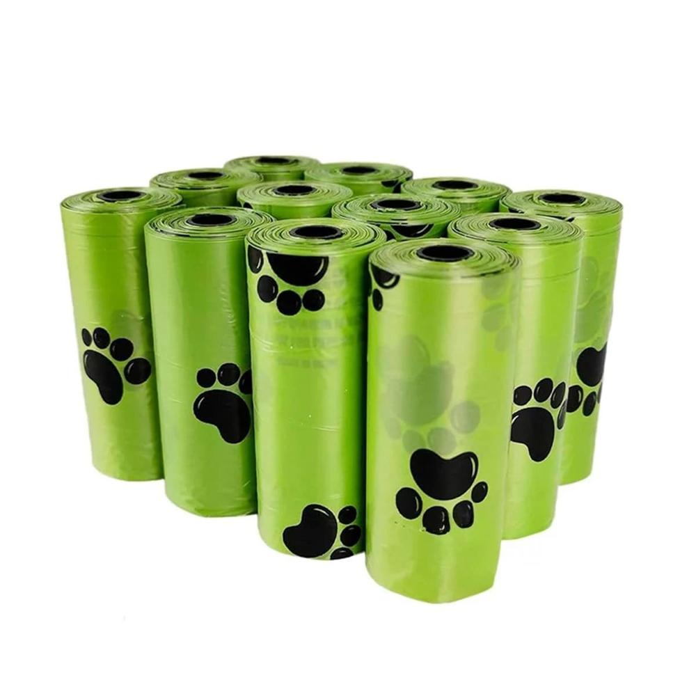 Set de Bolsa Biodegradable Verde para Paseo en la Ciudad Y+Papel Regalo