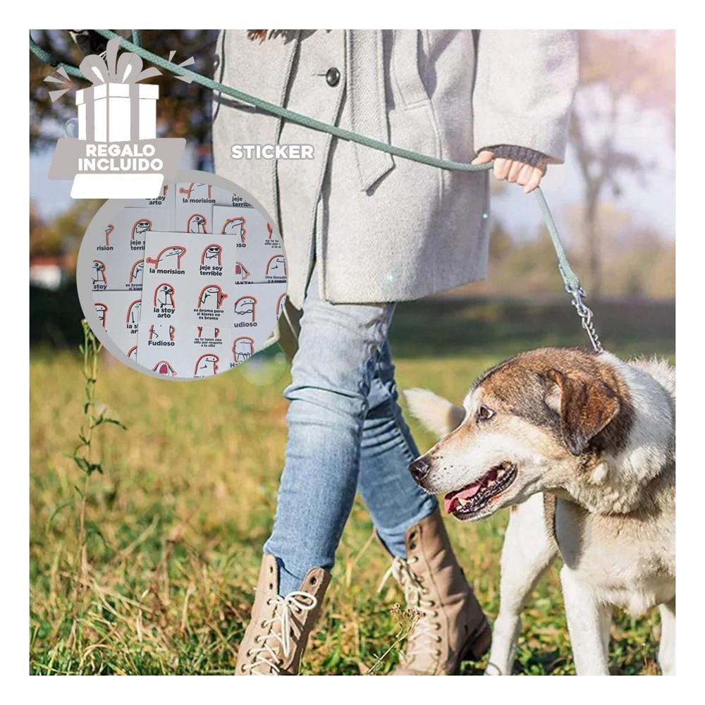 Dispensador de Bolsas Gris para Paseos con Mascota Diseno Compacto Y+Regalo Sticker