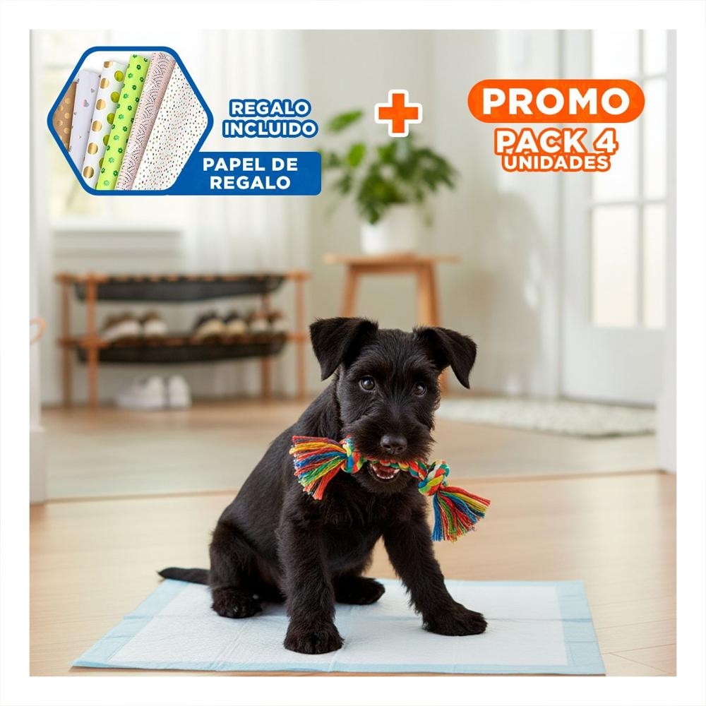 Pack4 Implemento de Piso 45x60 Talla M para Mascotas Hogar Interior Diario Y+Papel Regalo